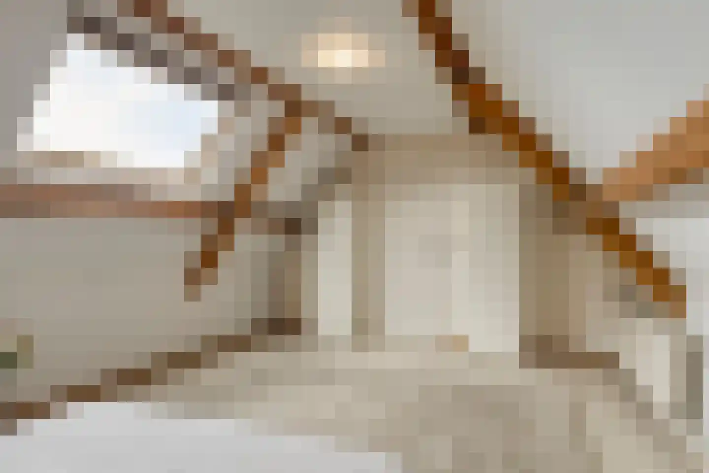 Koriander 8 Sint-Oedenrode thumbnail 93