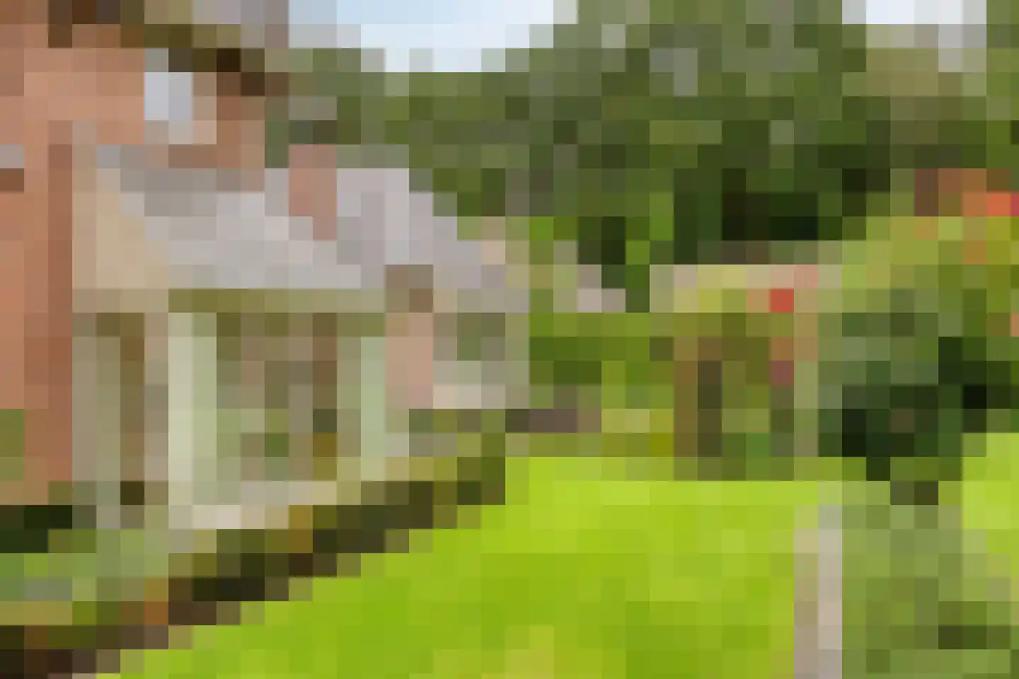 Koriander 8 Sint-Oedenrode thumbnail 97