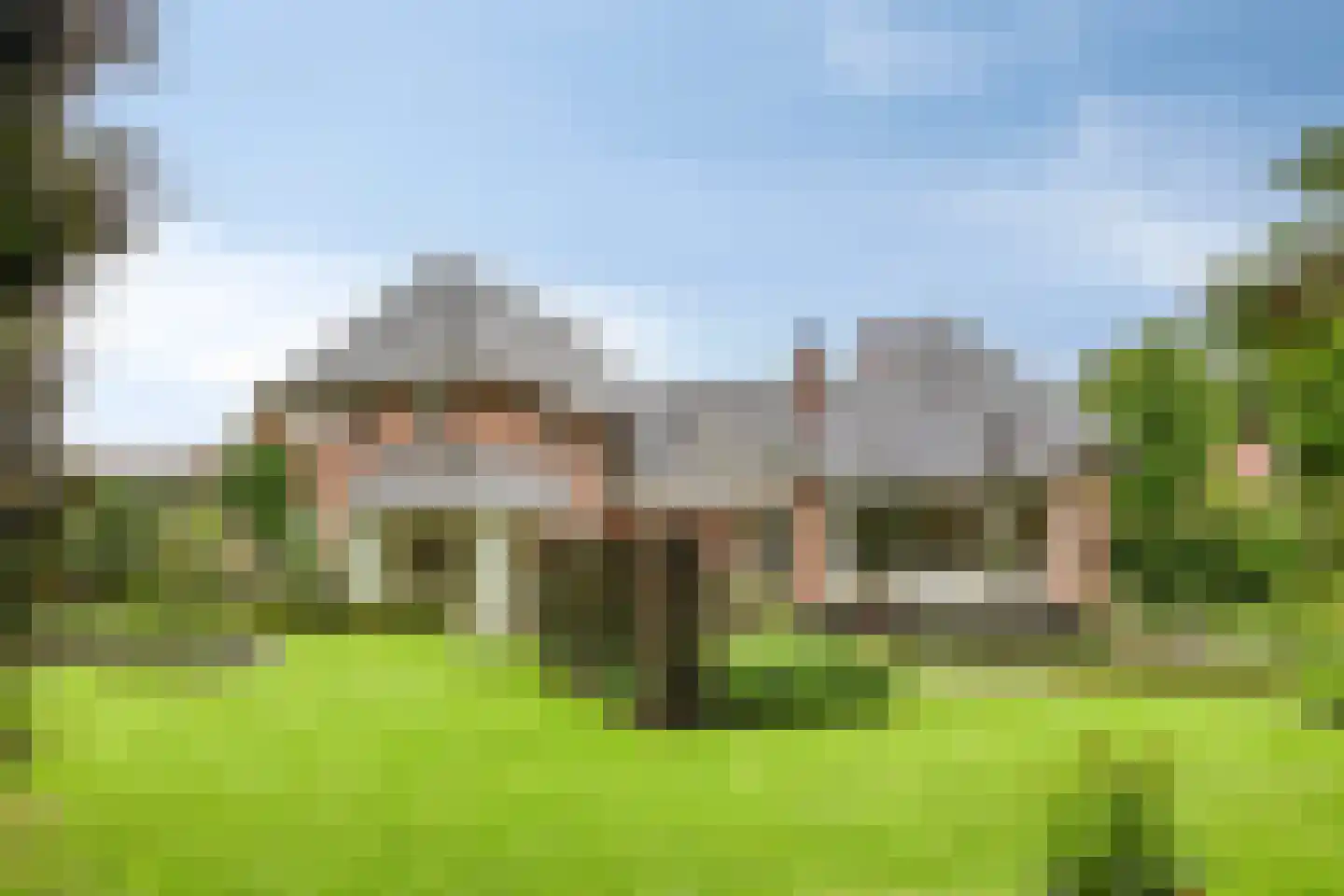 Koriander 8 Sint-Oedenrode thumbnail 99
