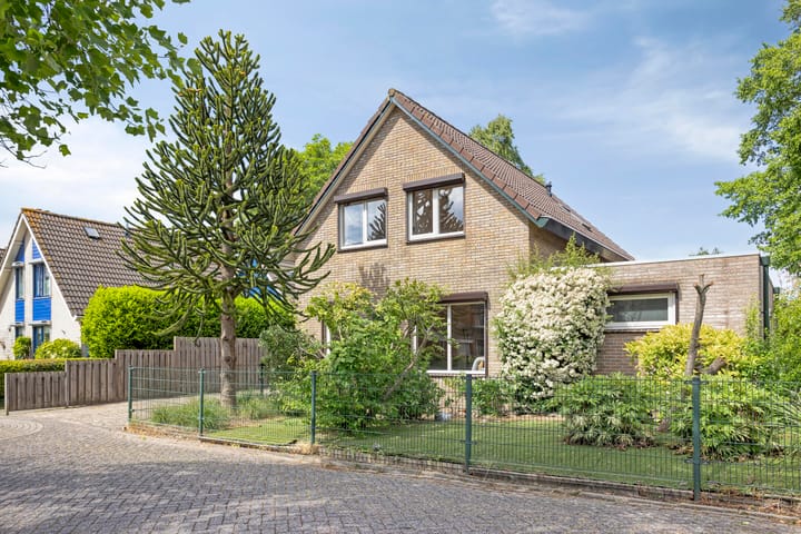 Koriander 9 in Dronten Foto