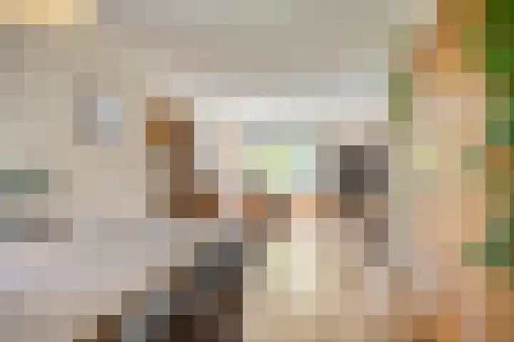 Koriander 9 Dronten thumbnail 14