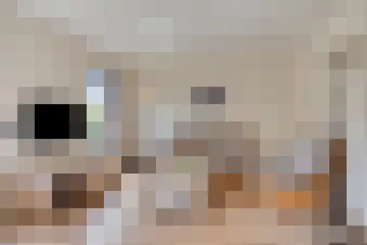 Koriander 9 Dronten thumbnail 15