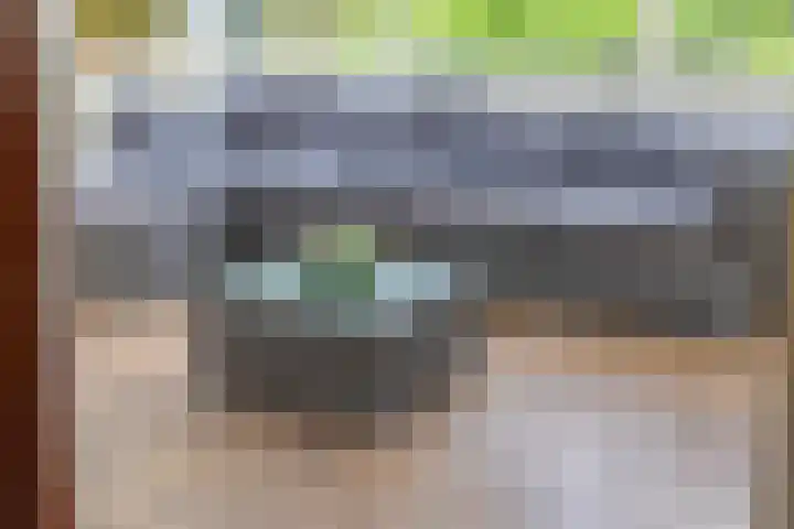 Koriander 9 Dronten thumbnail 29