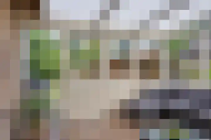 Koriander 9 Dronten thumbnail 32