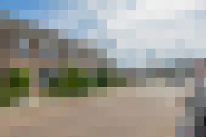 Koriander 9 Dronten thumbnail 36