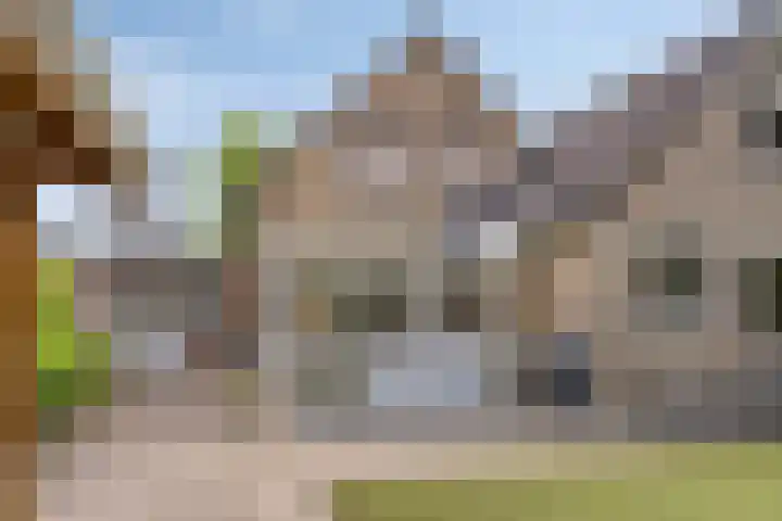 Koriander 9 Dronten thumbnail 4