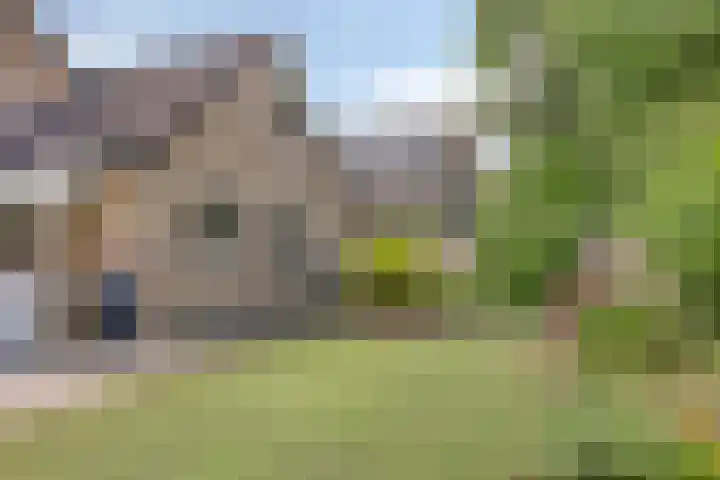 Koriander 9 Dronten thumbnail 48