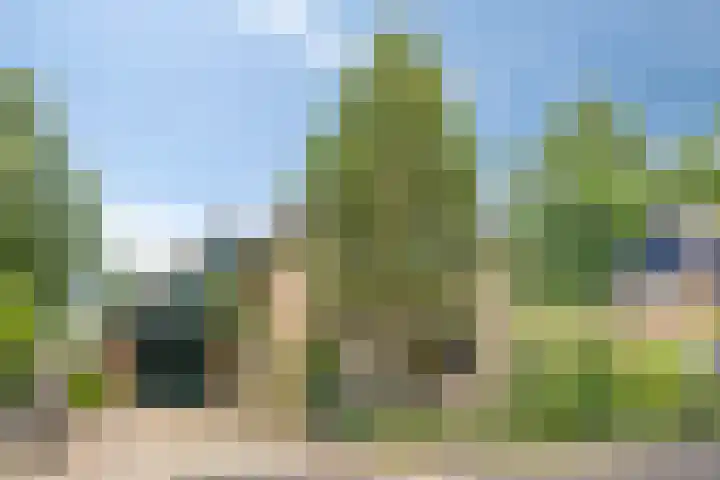 Koriander 9 Dronten thumbnail 5