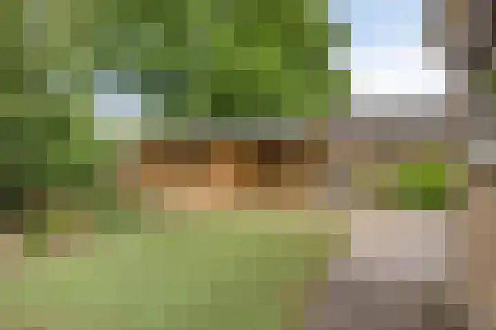 Koriander 9 Dronten thumbnail 52