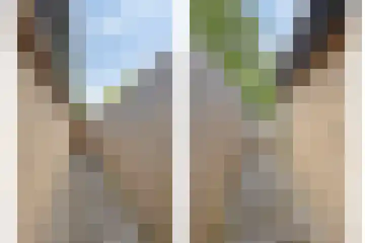 Koriander 9 Dronten thumbnail 54