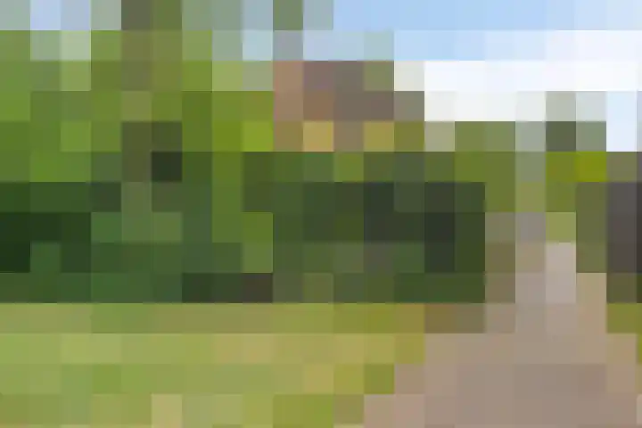 Koriander 9 Dronten thumbnail 59