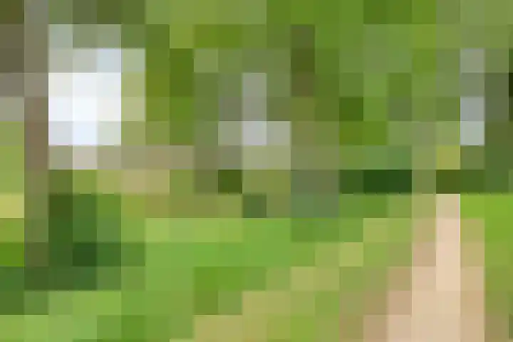 Koriander 9 Dronten thumbnail 61