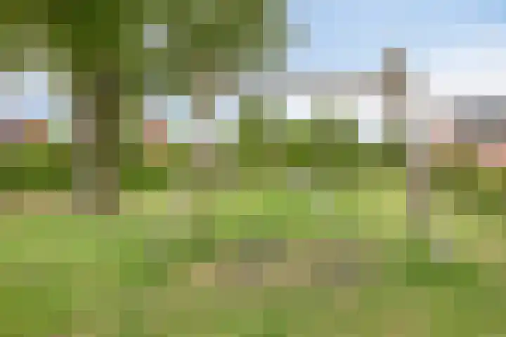 Koriander 9 Dronten thumbnail 62