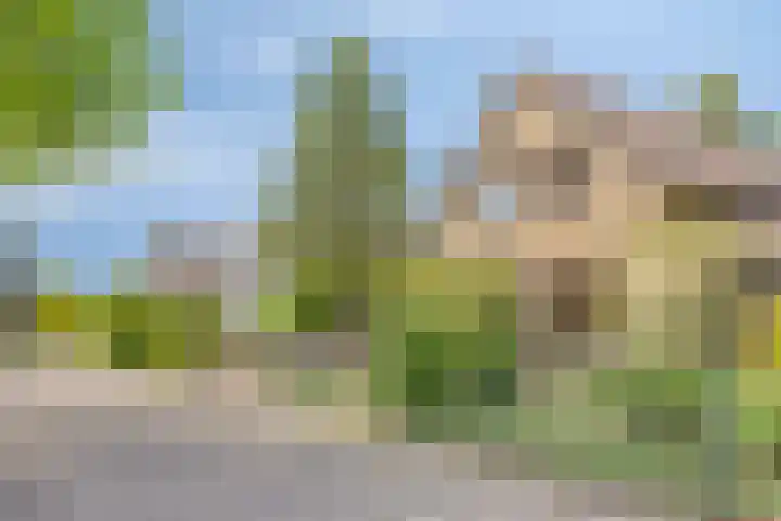 Koriander 9 Dronten thumbnail 7