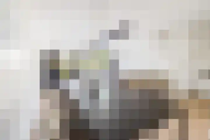 Koriander 9 Dronten thumbnail 9