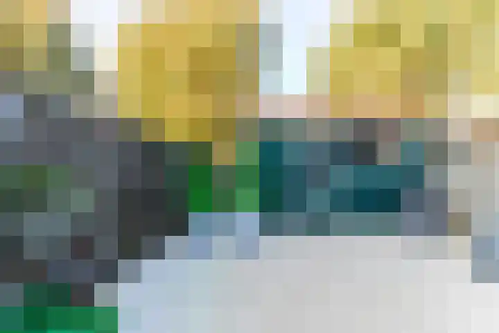 Koriandergaarde 10 Nieuwegein thumbnail 39