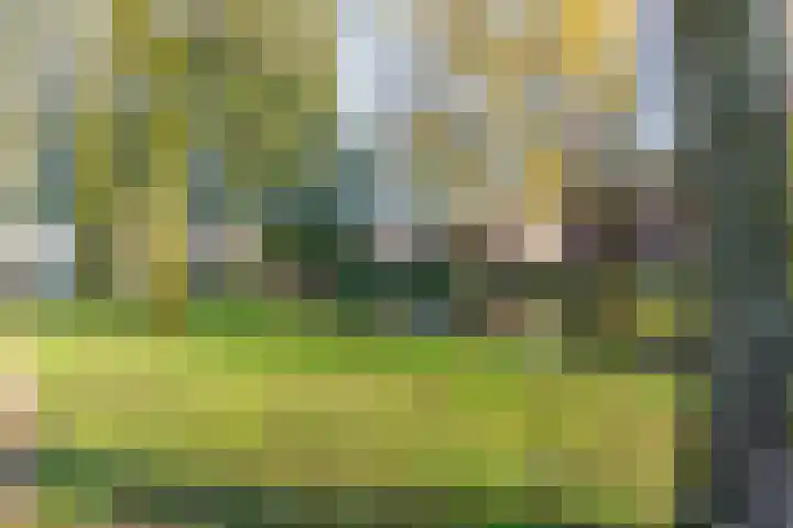 Koriandergaarde 10 Nieuwegein thumbnail 45