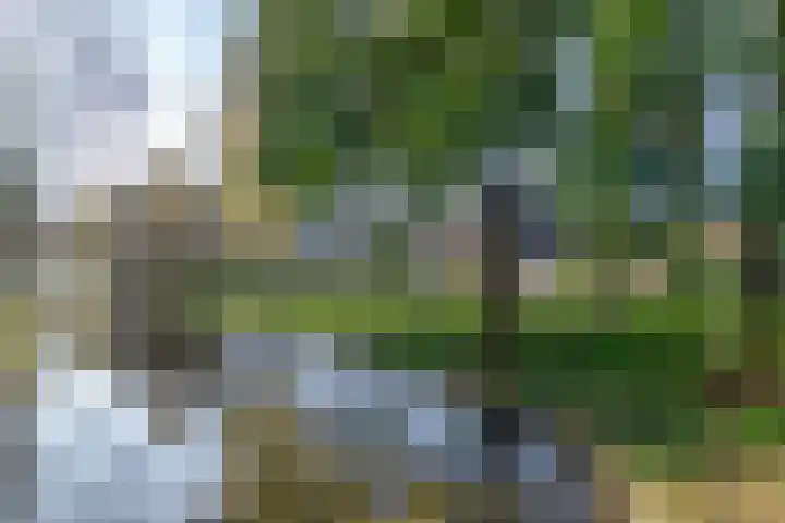 Koriandergaarde 10 Nieuwegein thumbnail 46
