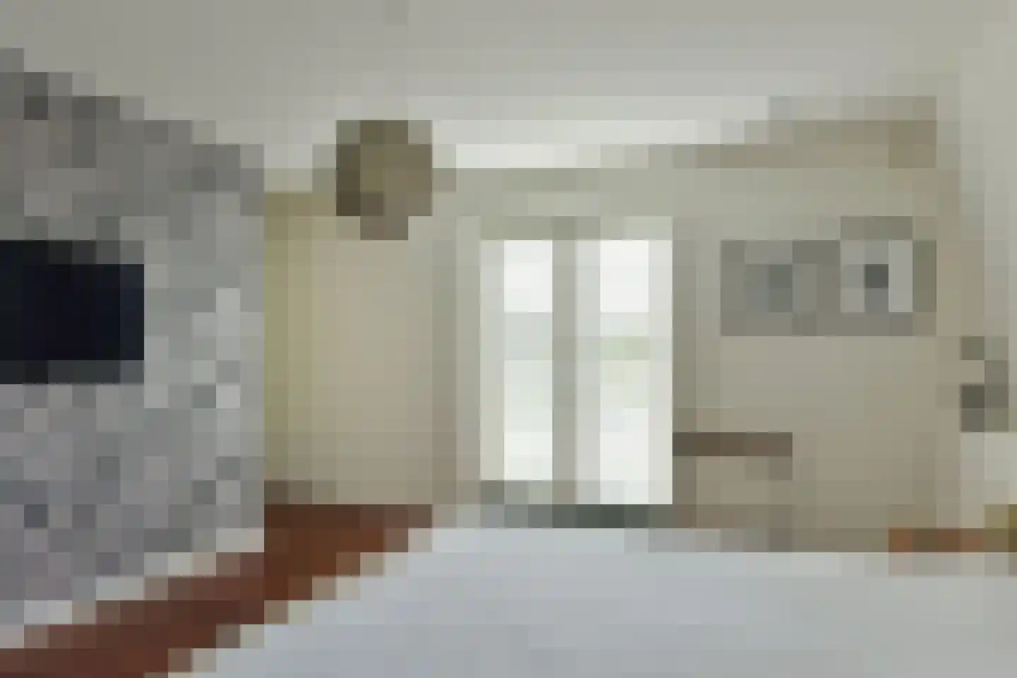 Korianderhof 14 Aalsmeer thumbnail 19