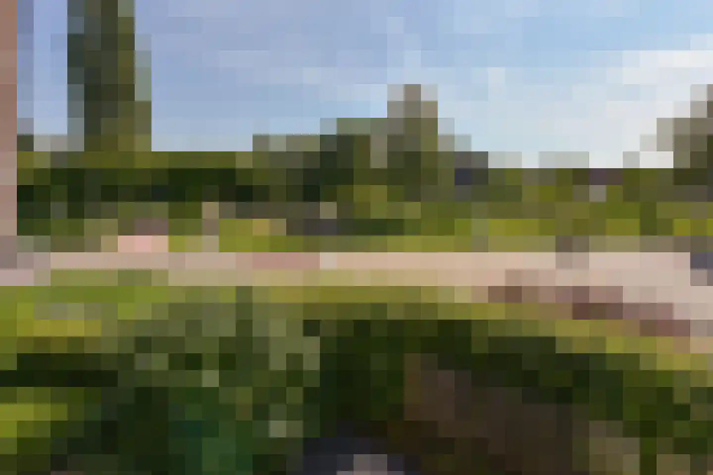 Korianderhof 14 Aalsmeer thumbnail 22