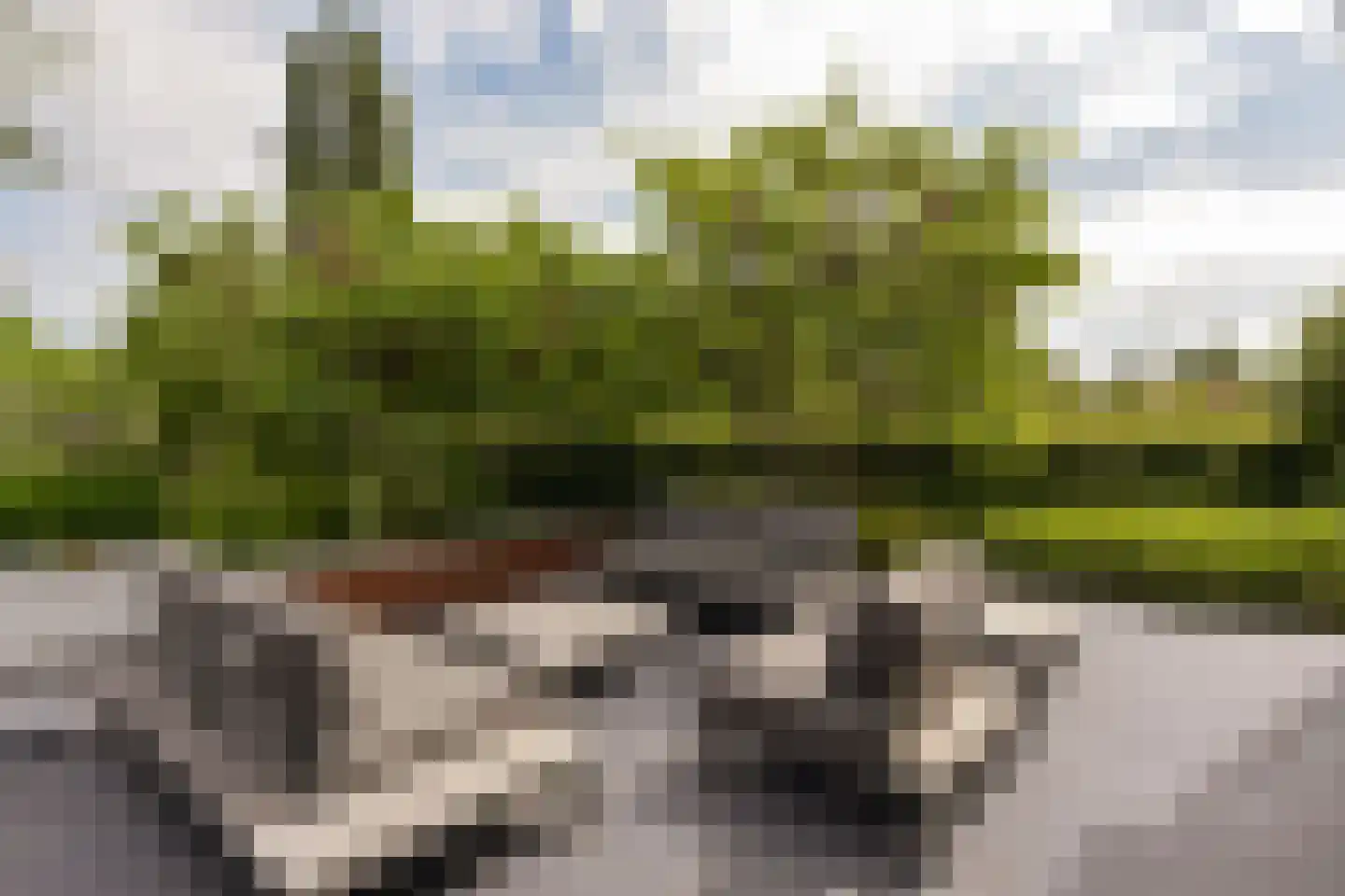 Korianderhof 14 Aalsmeer thumbnail 37