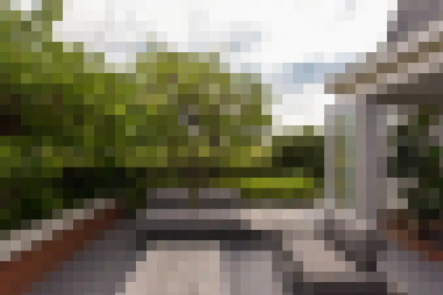 Korianderhof 14 Aalsmeer thumbnail 38