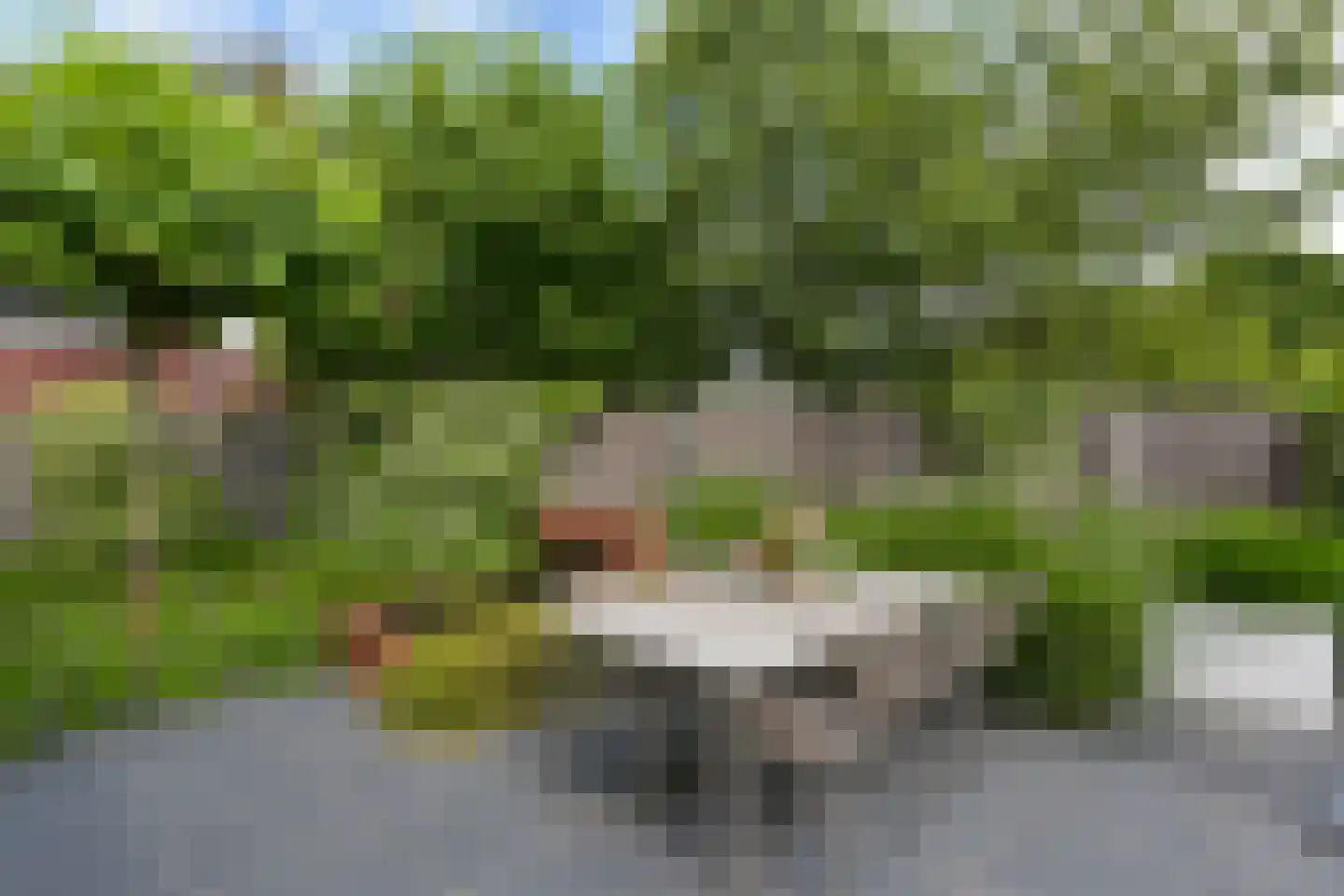 Korianderhof 14 Aalsmeer thumbnail 39