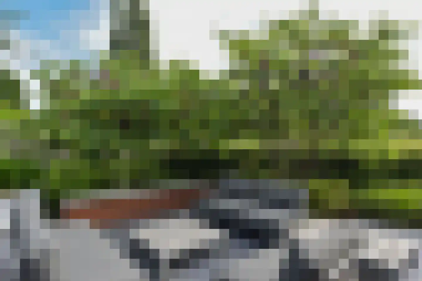 Korianderhof 14 Aalsmeer thumbnail 41