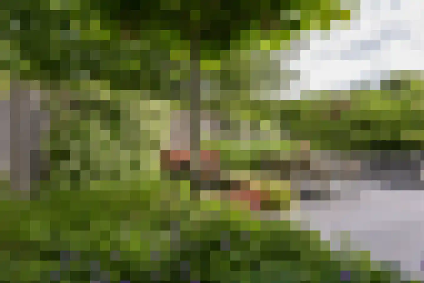 Korianderhof 14 Aalsmeer thumbnail 47