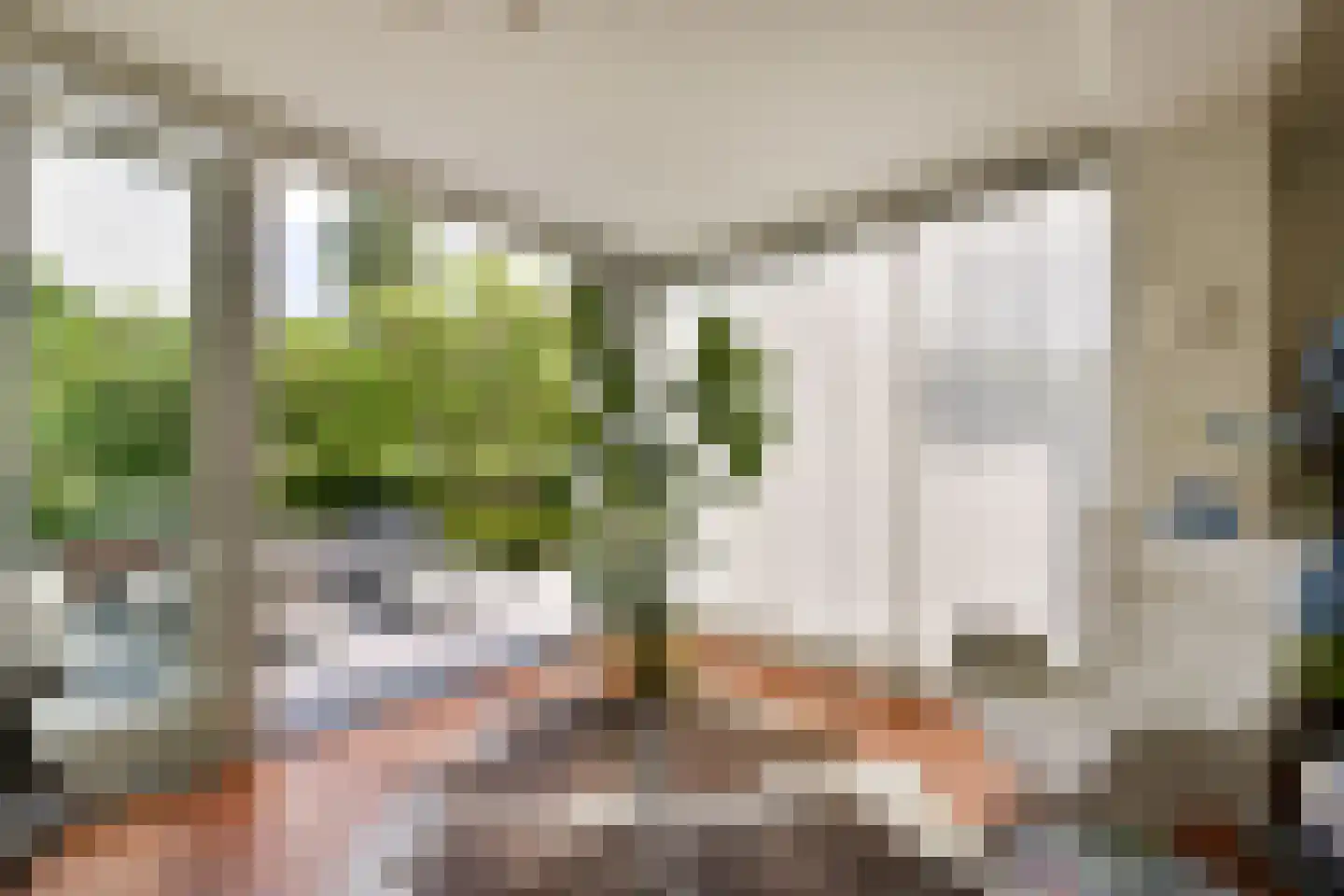 Korianderhof 14 Aalsmeer thumbnail 7