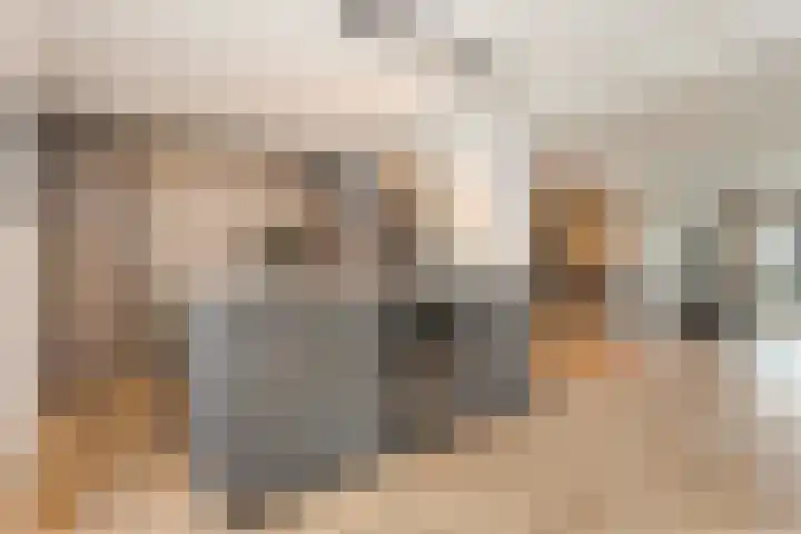 Korianderhof 179 Wierden thumbnail 17
