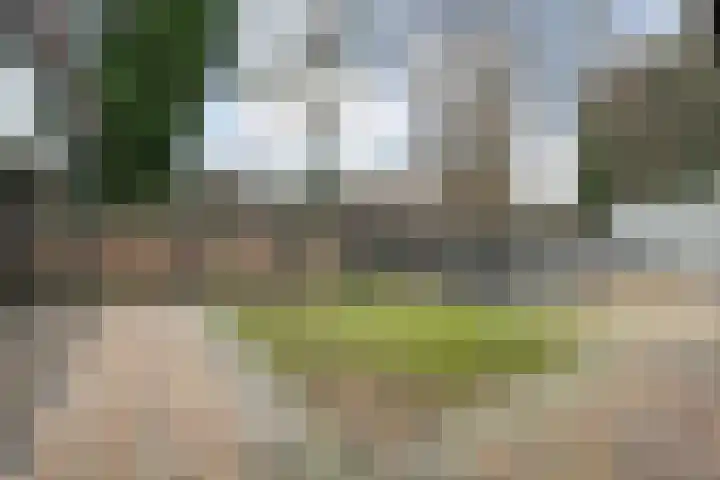 Korianderhof 179 Wierden thumbnail 39