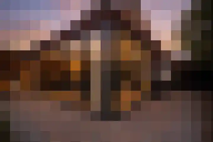 Korianderhof 179 Wierden thumbnail 40