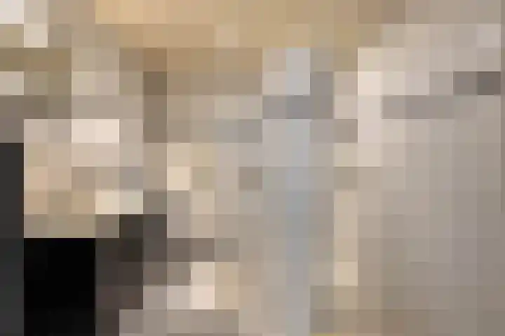 Korianderhof 211 Wierden thumbnail 15