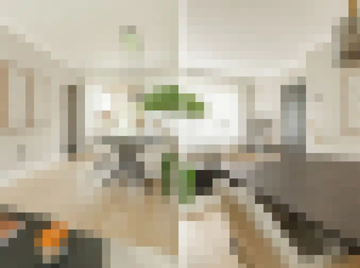 Korianderhof 28 Wierden thumbnail 15