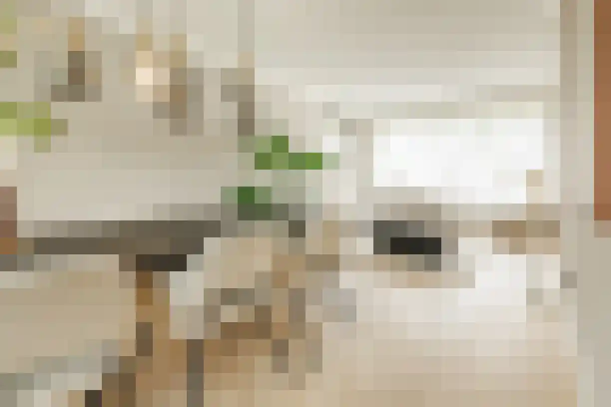 Korianderhof 28 Wierden thumbnail 17