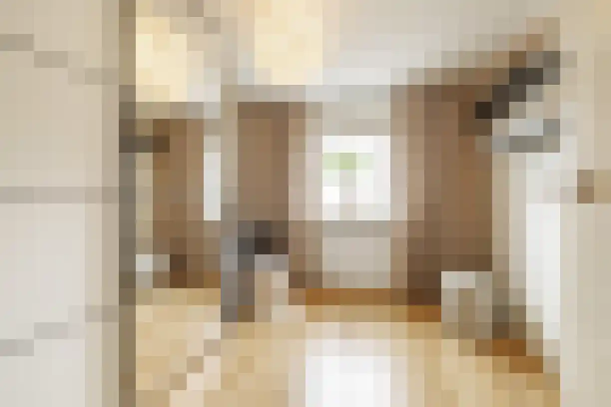 Korianderhof 28 Wierden thumbnail 29