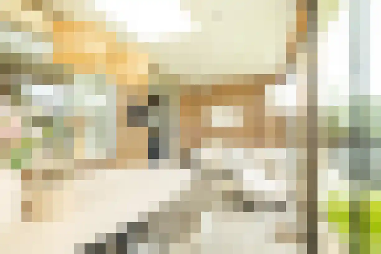 Korianderhof 28 Wierden thumbnail 43