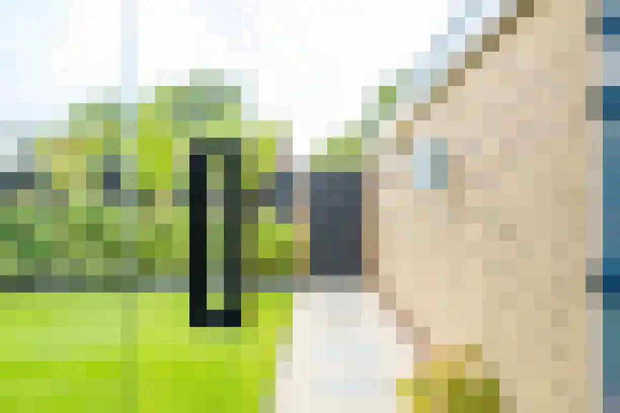Korianderhof 28 Wierden thumbnail 44