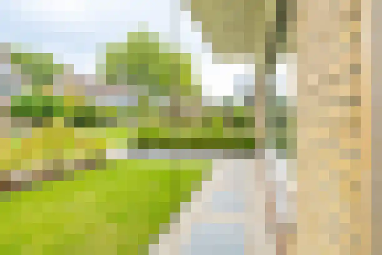 Korianderhof 28 Wierden thumbnail 51