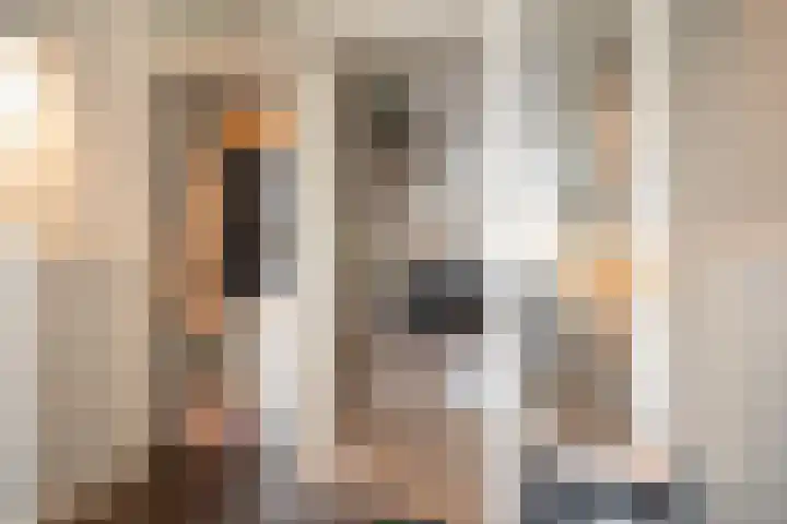 Korianderhof 283 Wierden thumbnail 10