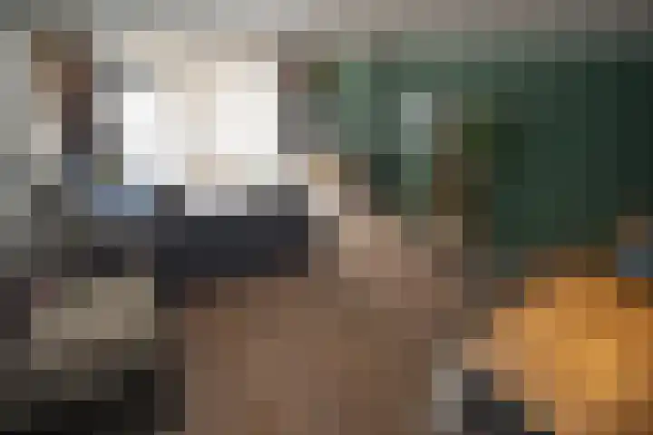 Korianderhof 283 Wierden thumbnail 19