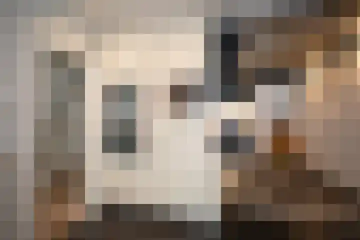 Korianderhof 283 Wierden thumbnail 21