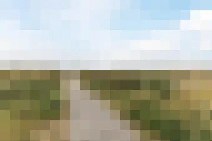 Korianderhof 283 Wierden thumbnail 26