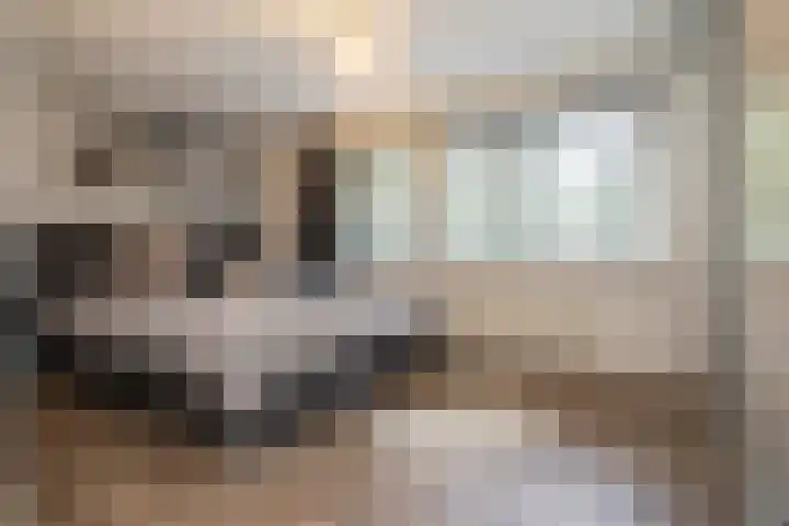 Korianderhof 283 Wierden thumbnail 29