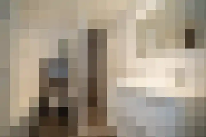 Korianderhof 283 Wierden thumbnail 32