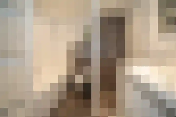 Korianderhof 283 Wierden thumbnail 33