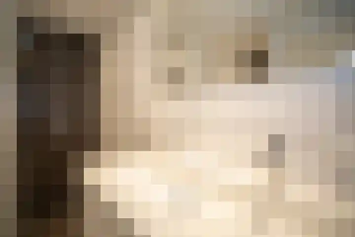 Korianderhof 283 Wierden thumbnail 34