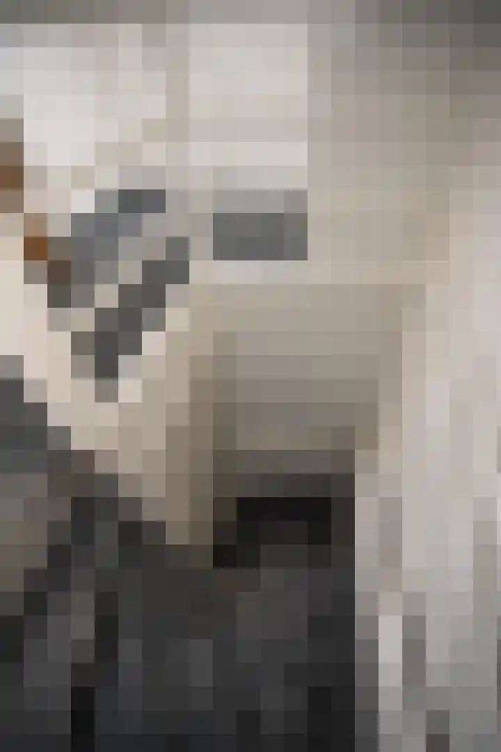Korianderhof 283 Wierden thumbnail 42