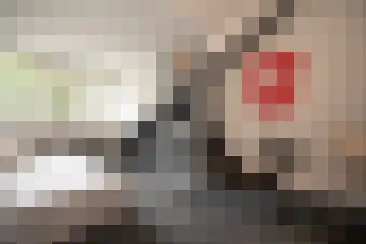 Korianderhof 283 Wierden thumbnail 48